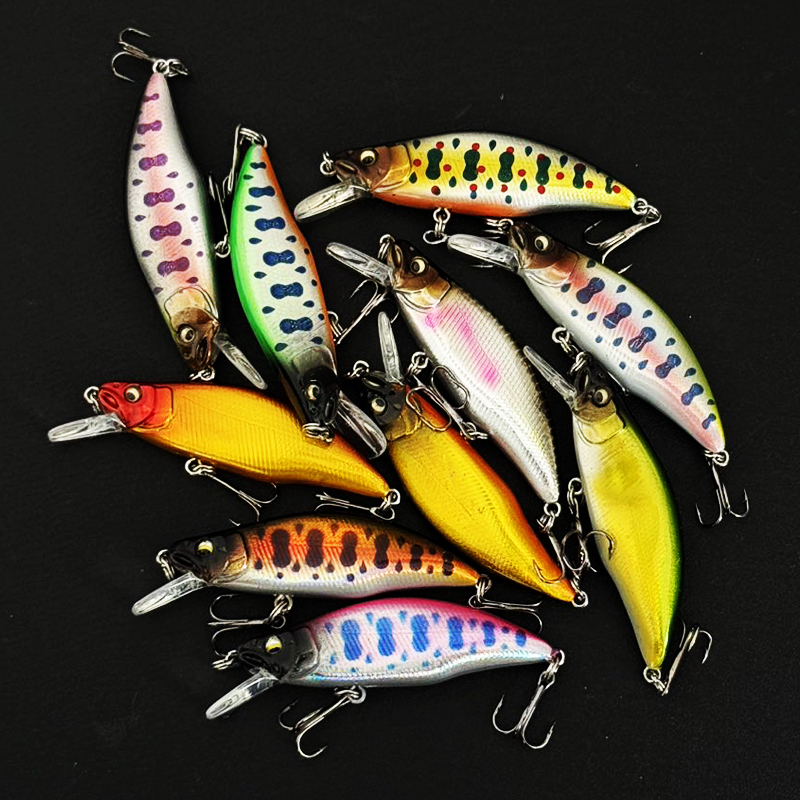 10pcs Minnow Fishing Lure Set  - Fishing Equipment In Japanese 评论和价格